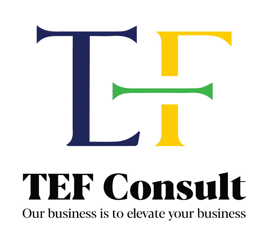 TEF Consult